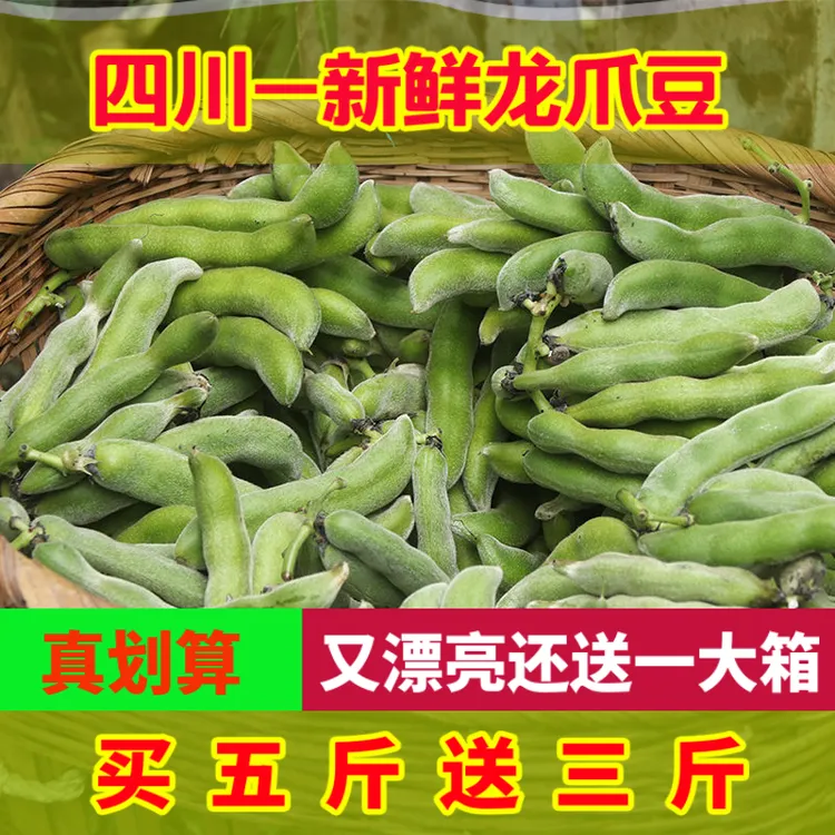 【D新鲜现摘狗儿豆】新鲜手工自种龙爪豆狗儿豆猫猫豆老虎豆1斤/5斤