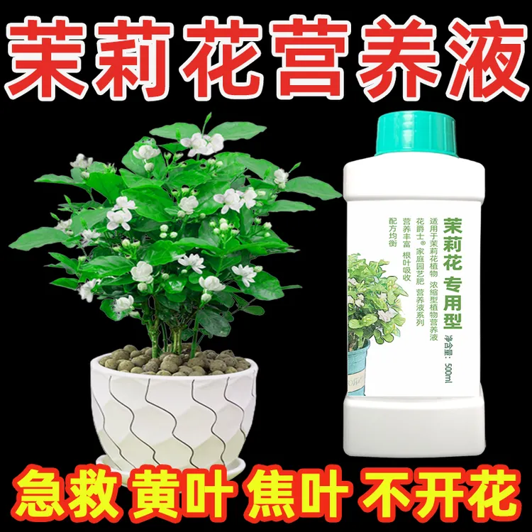 茉莉花专用营养液植物通用型水培盆栽黄叶子不开花酸性肥料专用肥
