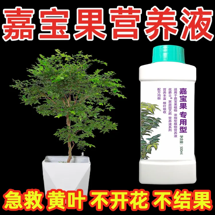 沙巴嘉宝果专用肥料树葡萄嘉宝果树肥料营养液催花剂磷钾肥促花果