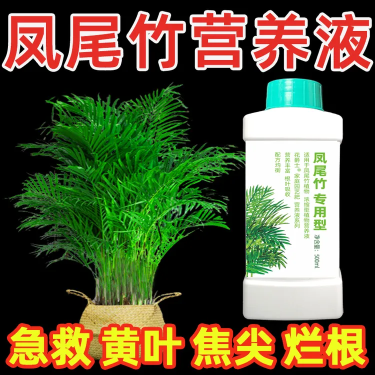 凤尾竹专用营养液水培夏威夷竹盆栽肥料专用肥散尾葵竹液体营养肥