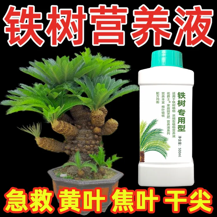 铁树植物营养液铁树盆景肥料苏铁树盆栽专用肥料防黄叶干枯专用