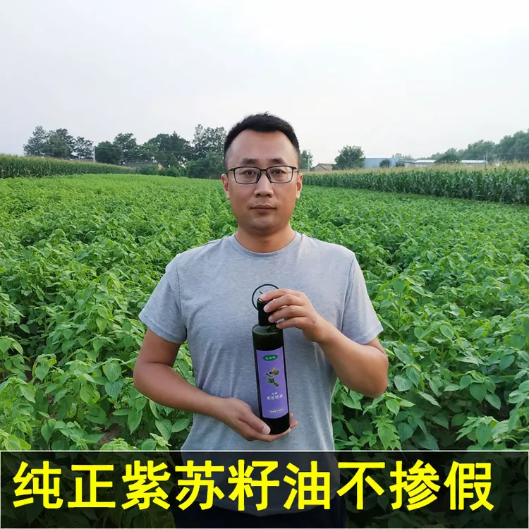  冷榨生榨纯紫苏籽油500ml头道正品黑苏麻油口服炒菜月子孕妈食用