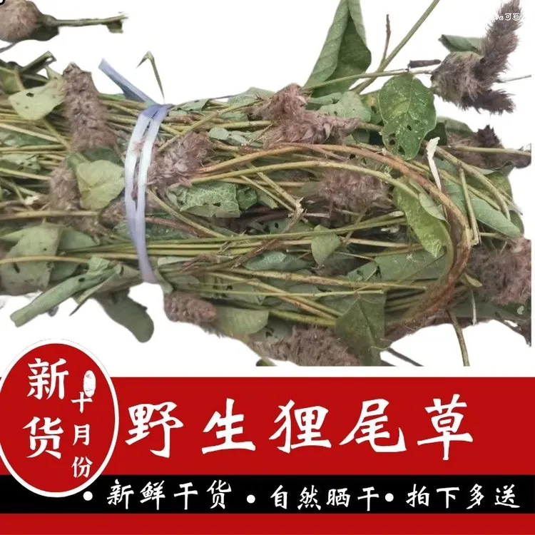 广西野生狸尾草干货新货羊咩香猫尾草新鲜晒干营养煲汤煲水食用