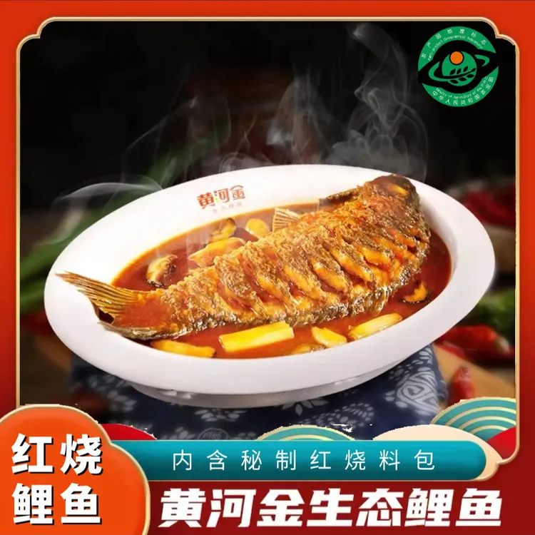 【豫菜头牌菜】红烧黄河生态大鲤鱼 内置秘制料包 加热7分钟既食