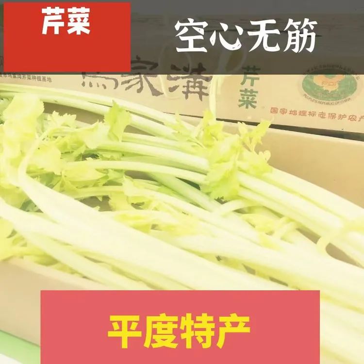 平度马家沟芹菜空心芹菜玻璃脆2斤礼盒装大叶