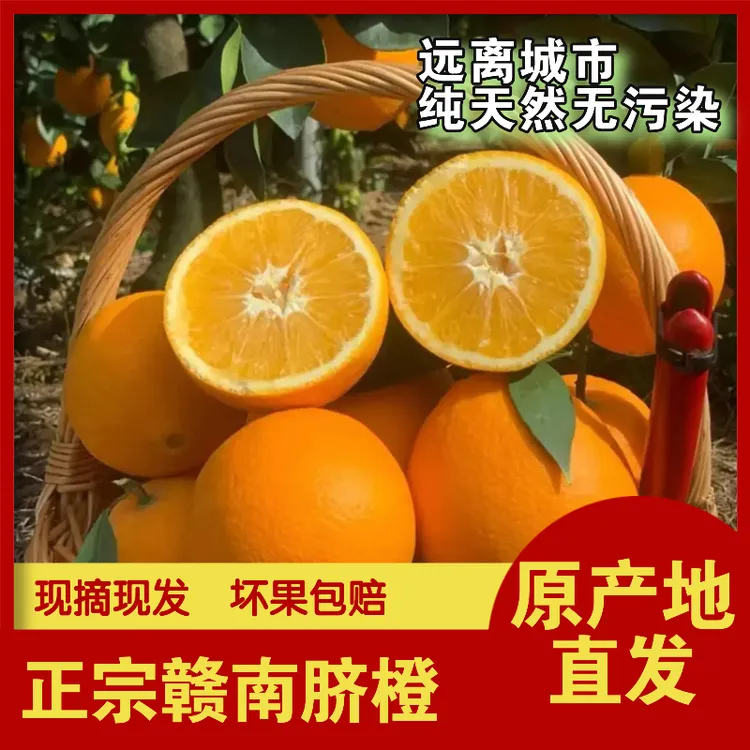 正宗赣南脐橙生态种植新鲜采摘发货口感饱满香甜多汁皮薄脆嫩化渣