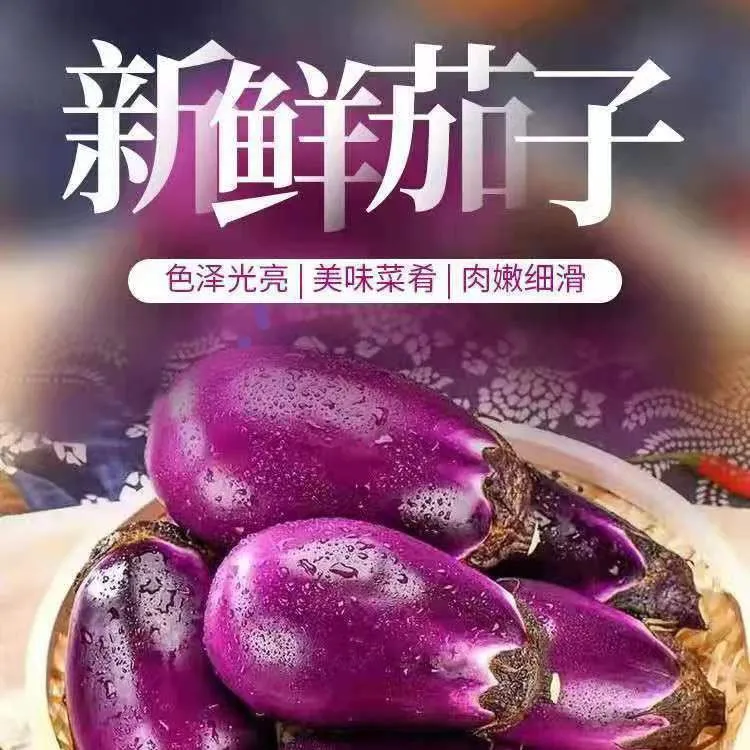 鲜嫩茄子新鲜紫皮/绿皮薄皮圆软糯家用,饭店食材包邮
