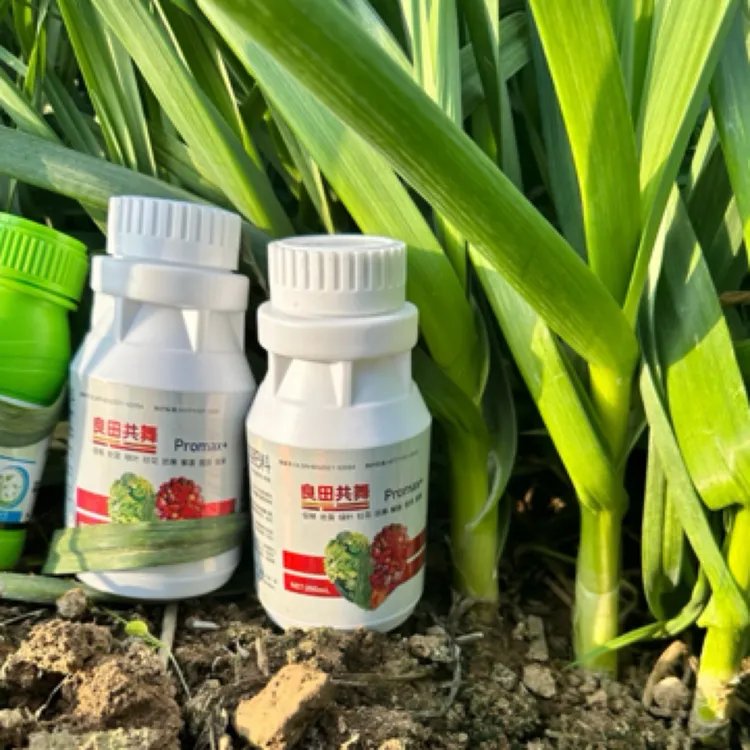 【蒜苗高产宝组合➕】增粗拔节 杆粗杆壮 叶片肥绿 减少黄叶干尖 