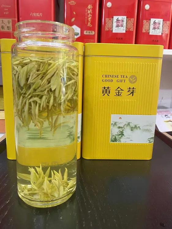 2024年 安吉原产地 头采奶白黄金芽（奶香花香鲜爽)