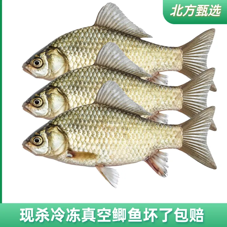 山东微山湖鲫鱼400g3袋新鲜活鱼现杀去鳞去鳃去内脏净重顺丰包邮