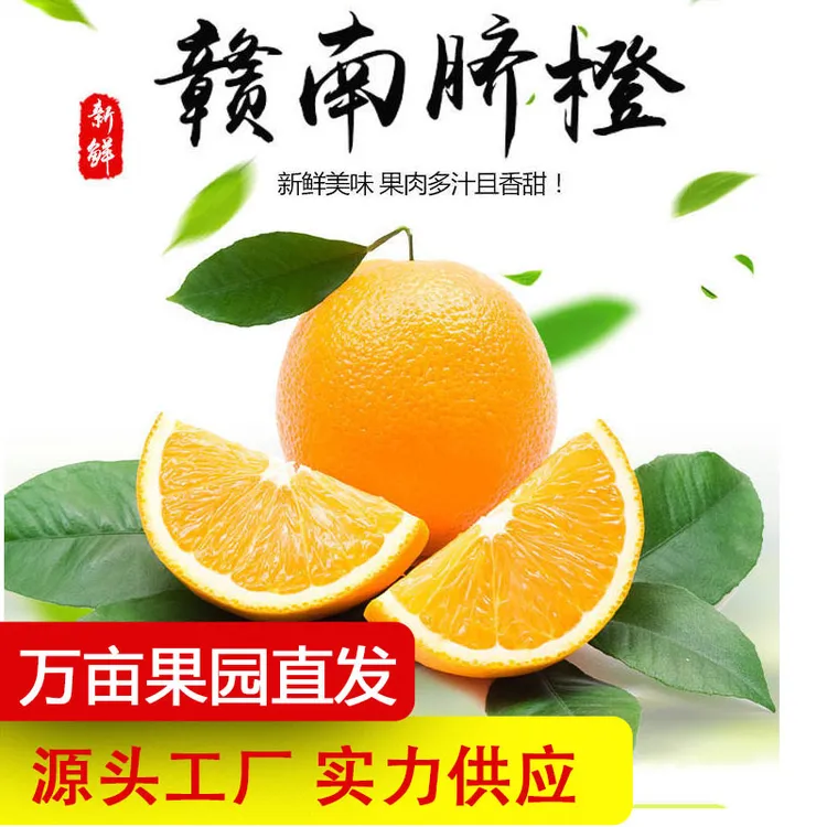 永记果业【正宗赣南脐橙】永记果业新鲜采摘现摘现发原产地阳光香甜橙味发货