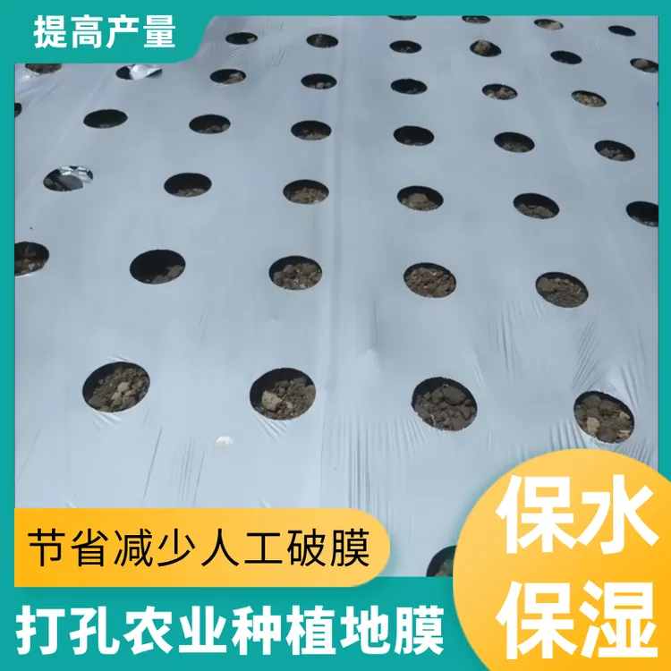 打孔黑地膜农用带孔有孔银黑地膜防草种菜种植辣椒地膜农用薄膜