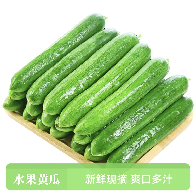 一整箱｜水果小黄瓜新鲜爽口甄选原产地无刺包邮当季脆甜青瓜现摘