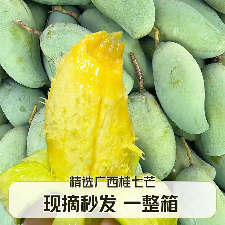 正宗｜5/9斤广西桂七芒果王鲜薄纯甜无酸肉质滑嫩现摘现发礼盒整箱