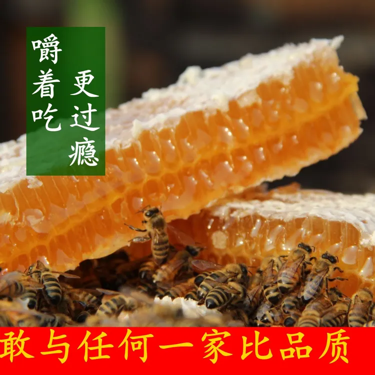 蜂场现切新老精致蜂巢蜜蜂窝蜜大块嚼着吃更过瘾500克成熟酿造