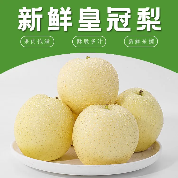 河北皇冠梨新鲜现摘梨子水果3-5斤当季水果整箱特产爽脆好吃精品