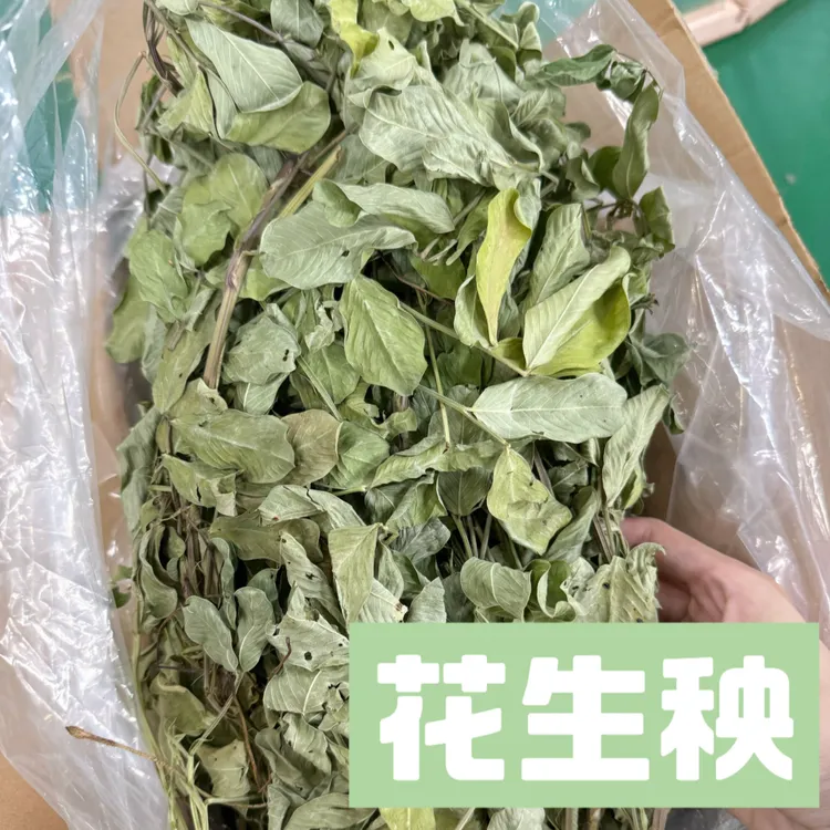 花生秧高营养发腮牧草｜缓解发情高蛋白辅草花生秧兔兔荷兰猪辅草