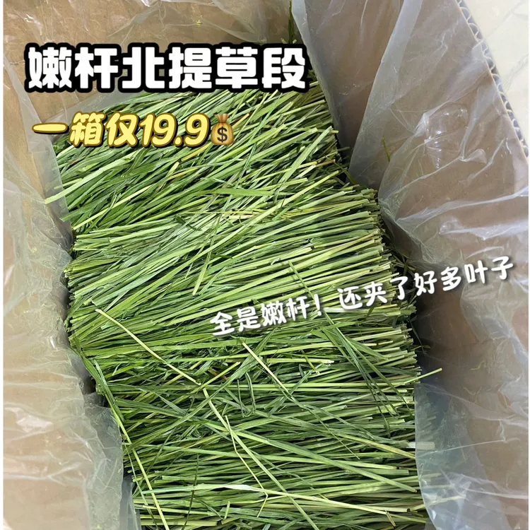 25年提摩西嫩杆箱装草段牧草提摩西草荷兰猪优质干草|600g