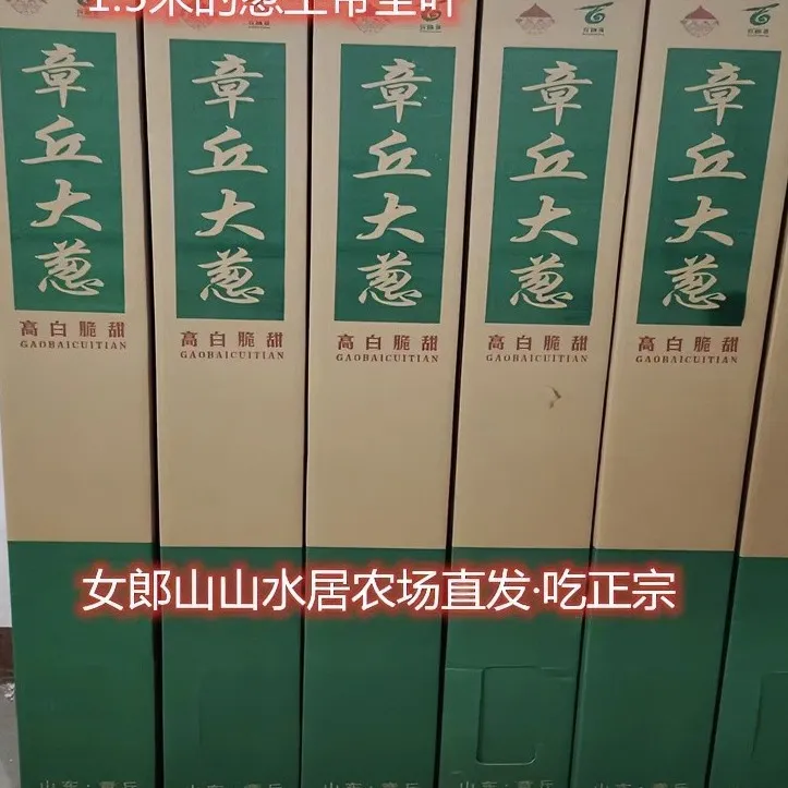 顺丰山东章丘大葱王山水居农场直发脆甜微辣正宗种植高品质
