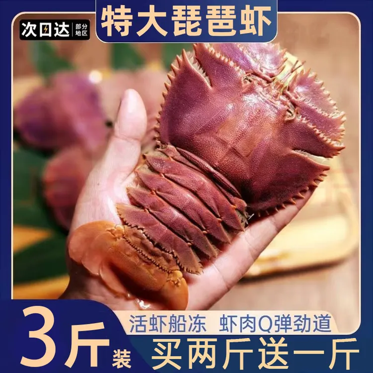 【邮鲜优选】琵琶虾3斤 单只2-3两 鲜活速冻 深海大虾 顺丰包邮