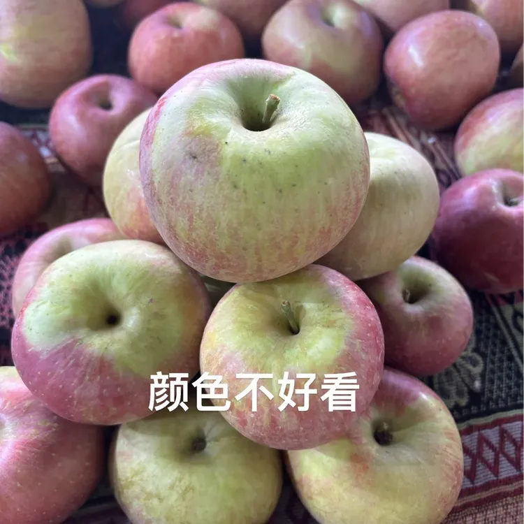 【翱龙优选】瑕疵果汉源红富士红苹果脆甜新鲜！！！