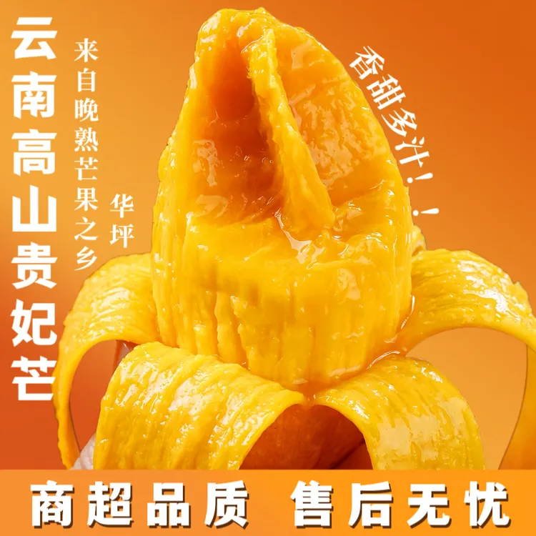 云南高山贵妃芒果5斤装包邮现摘新鲜水果香甜多汁大果果园鲜当季