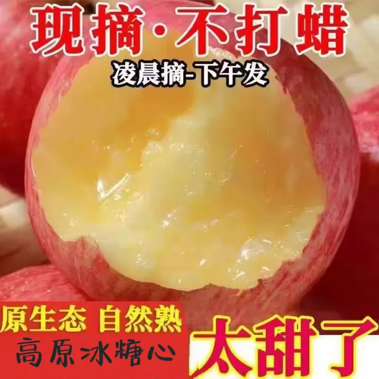 阿坝新鲜红富士苹果应季水果脆甜冰糖心整箱孕妈妈水果脆甜多汁