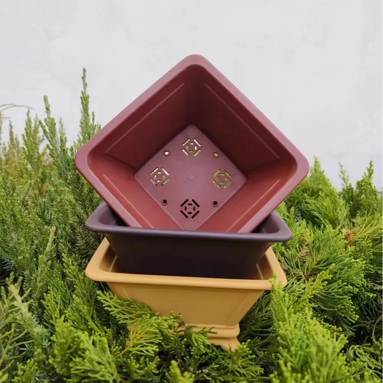 加厚盆，云脚斗笠方盆，多肉花盆，仙人球，菖蒲，文竹，米竹，