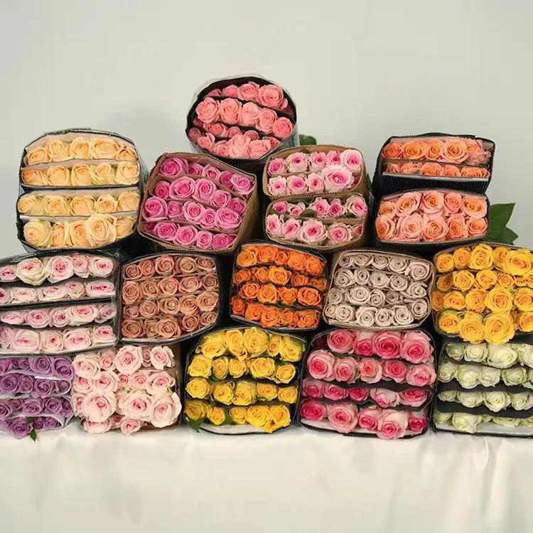 鲜花玫瑰-售后时效签收24小时内、0度以下需加拍保温棉冻坏不售后