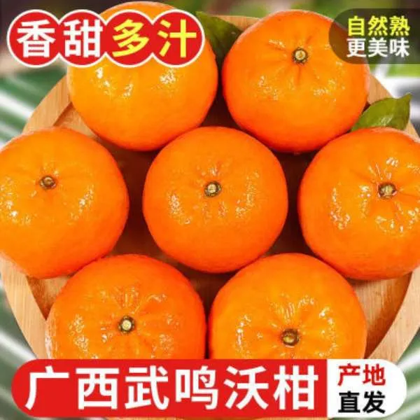 广西武鸣沃柑水果新鲜沃柑爆汁头茬老树花皮果脆蜜金柑特大