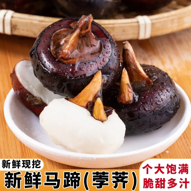 湖北新鲜水果马蹄荸荠5斤包邮当季现挖农家土特产荠孛地栗地梨
