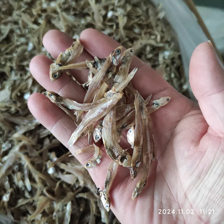 小鱼干干货白凡鱼微咸小白凡海水小鱼干渔民家干货