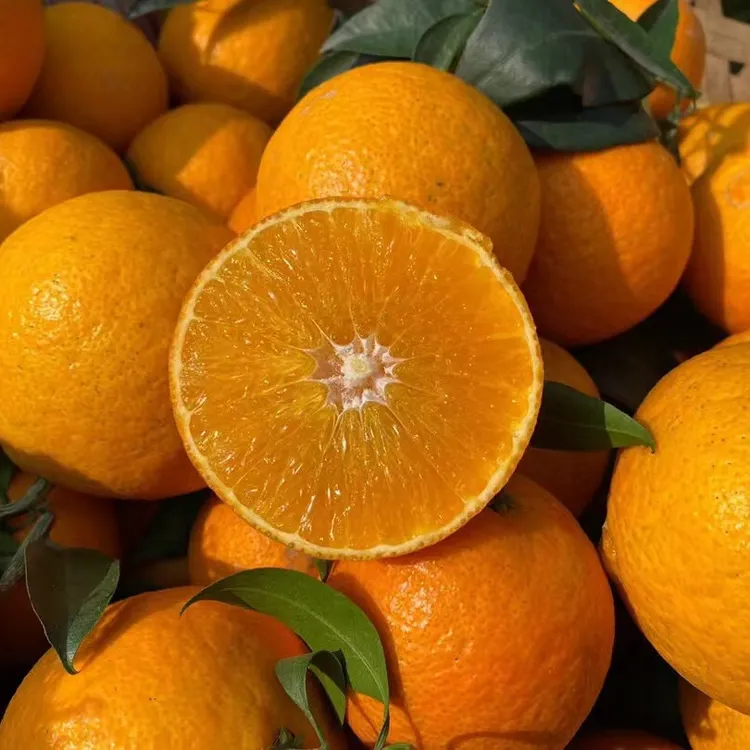 正宗现摘爱媛38号果冻橙当季鲜果橙子柑橘子5/8斤包邮