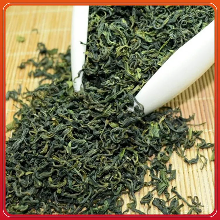 正宗日照绿茶2025精选二细春茶