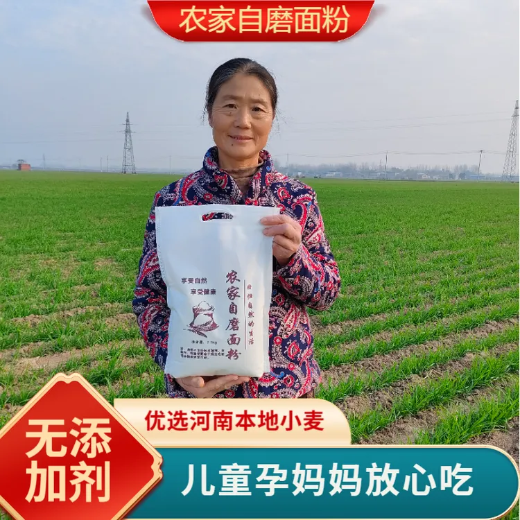 河南农村自磨面粉麦香浓郁原味面粉馒头饺子面条烙饼通用