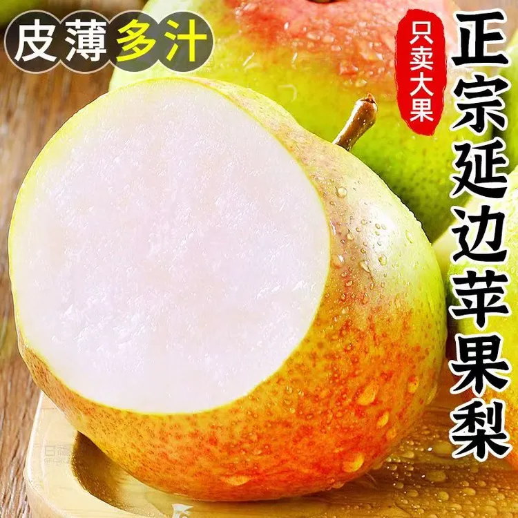 【延教专属】延边龙井三合苹果梨皮薄多汁原产地直发