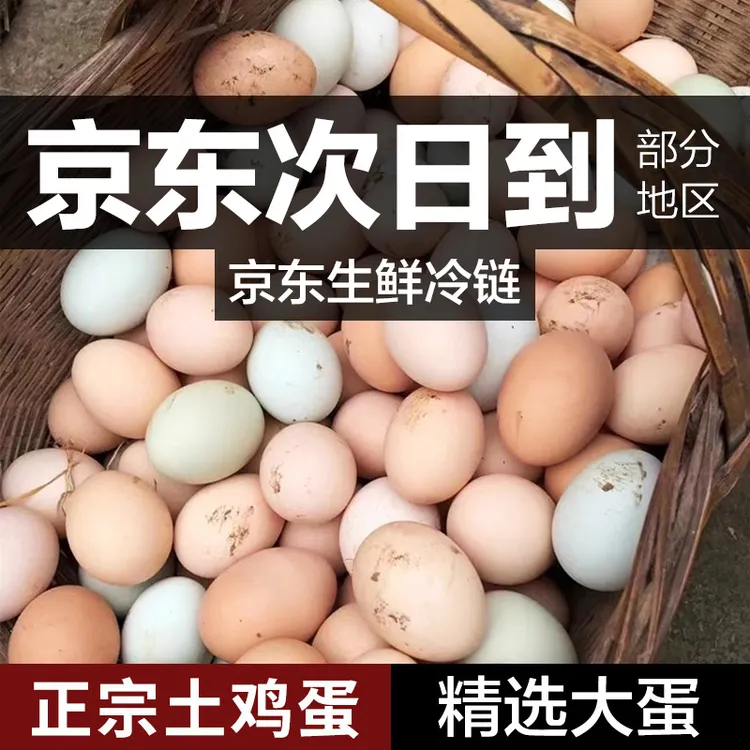 【双11特惠仅卖1天】50枚散养土鸡蛋农家柴鸡蛋农场当日新鲜土鸡蛋