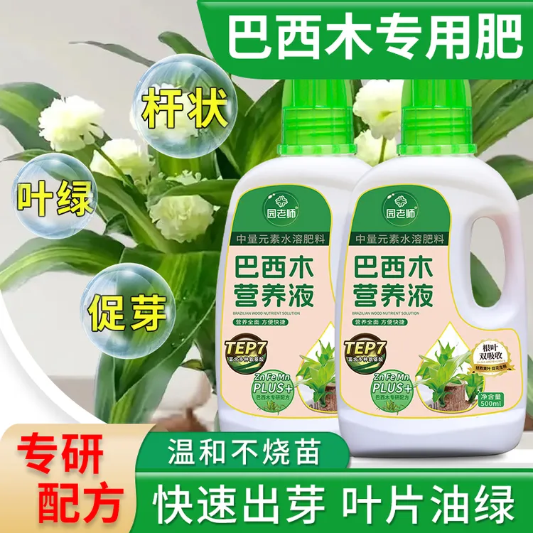 园老师幸运木巴西木专用型有机养护植物养花水溶肥通用型液体