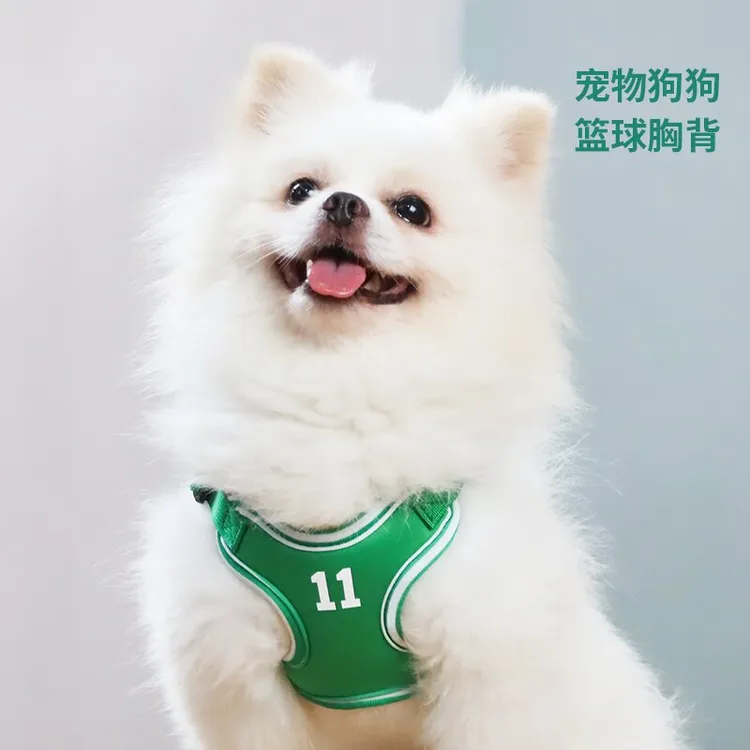 狗狗牵引绳背心式中小型犬遛狗绳泰迪比熊出行柯基篮球可调胸背带