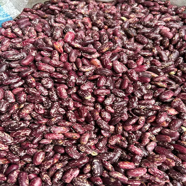 云南镇雄特产金豆煮酸菜红豆