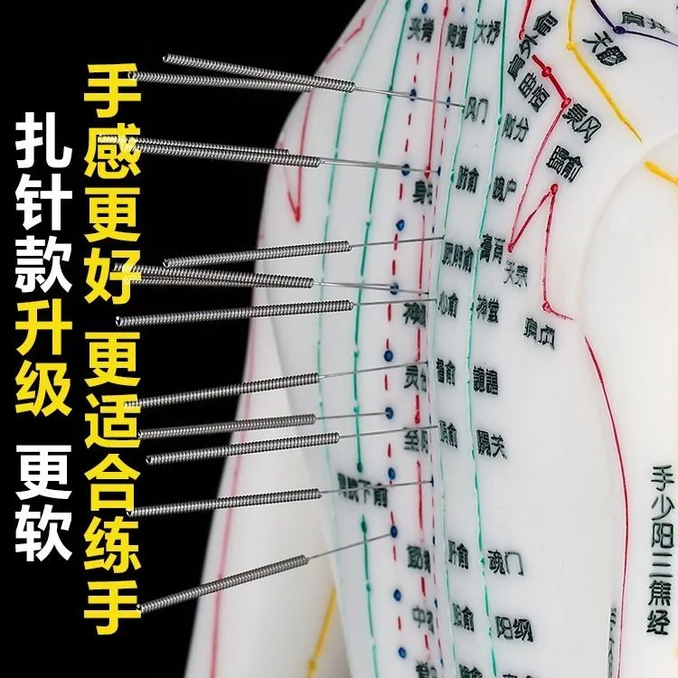 人体模型中医针灸穴位铜人男女全身十二经络皮人针灸穴位模型精美