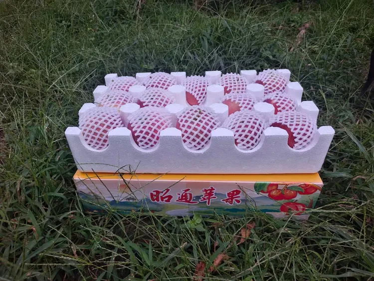 云南昭通苹果，红璐苹果，自家果园现摘现发