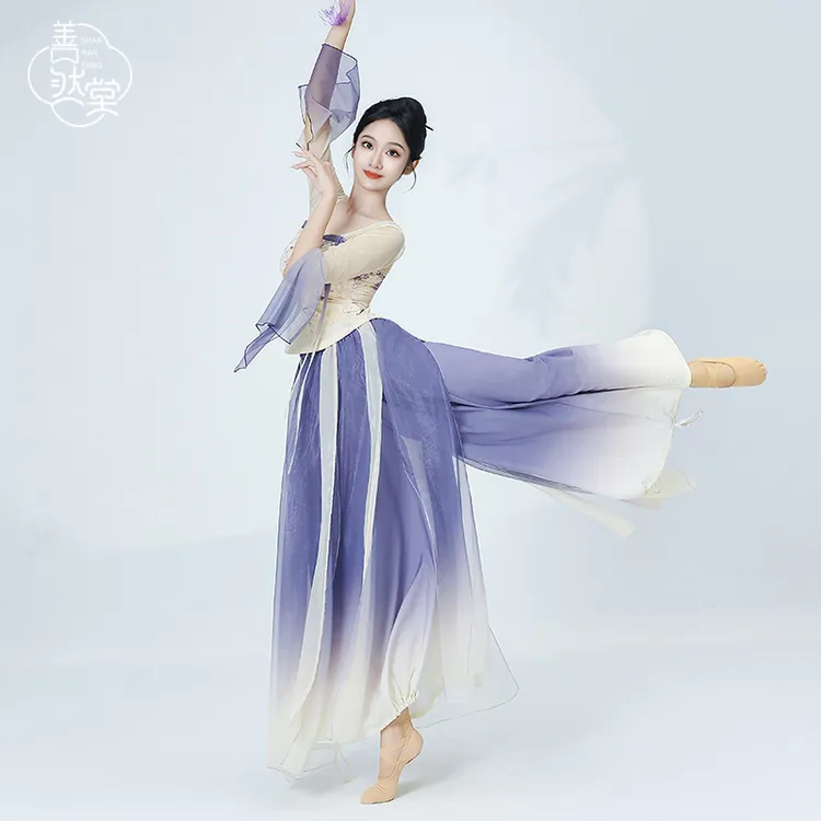 善然堂秋冬新款汉唐古典舞蹈服装中国舞纱衣飘逸灵动练功服演出服