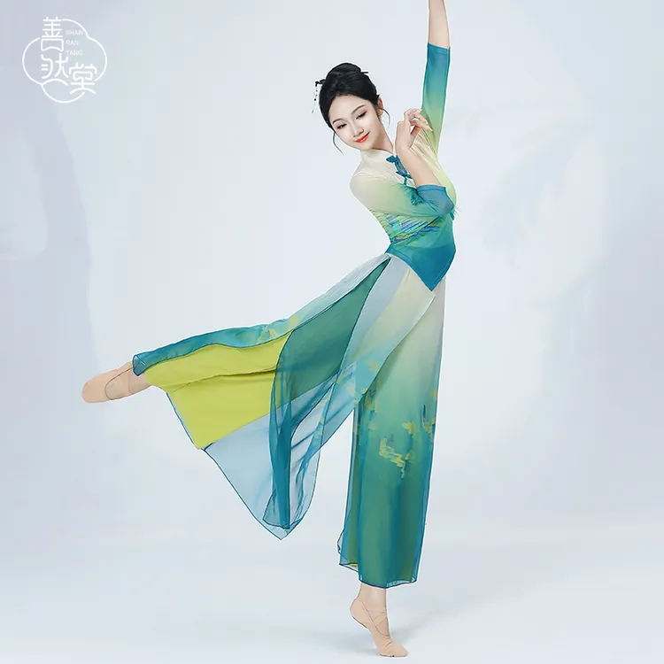 善然堂秋季新款水纱古典舞蹈服女飘逸纱衣练功服仙气中国舞演出服