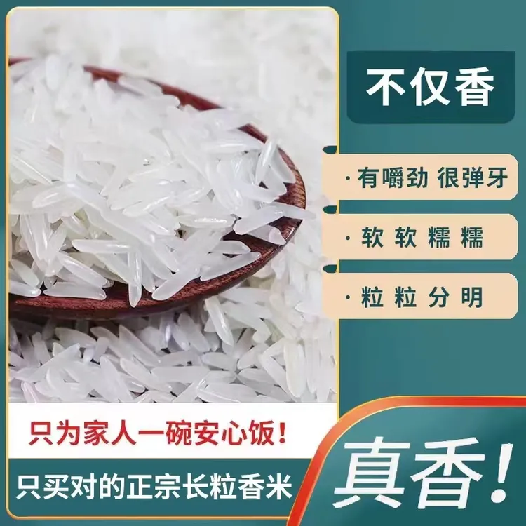 广西长粒香米2025新米软糯农家米正宗猫牙米煲仔饭炒饭煮饭
