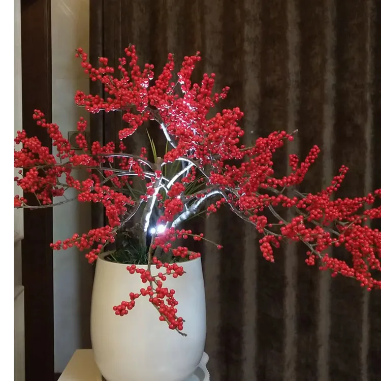 北美冬青【直播福利一物一拍】精品桌面耐寒耐旱年宵花卉老桩盆栽