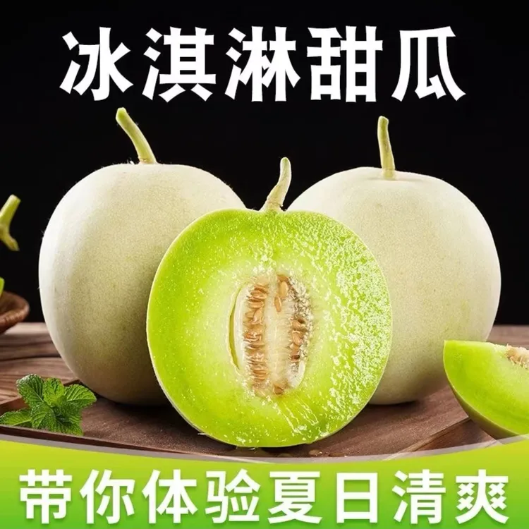DL冰淇淋玉菇甜瓜 软糯香甜 新鲜自然成熟 有大有小 坏果包赔