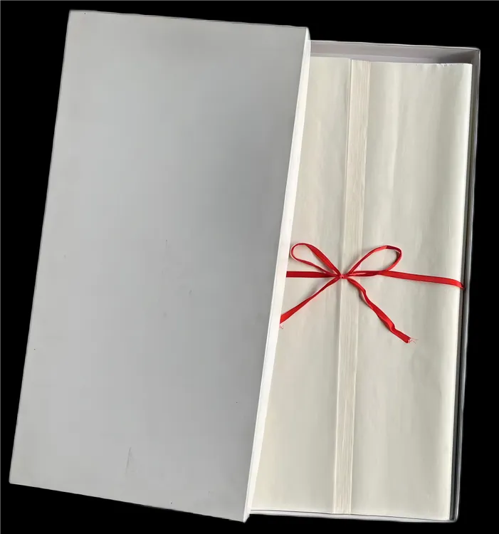 传文书画纪念宣纸四尺生宣写意行草创作宣