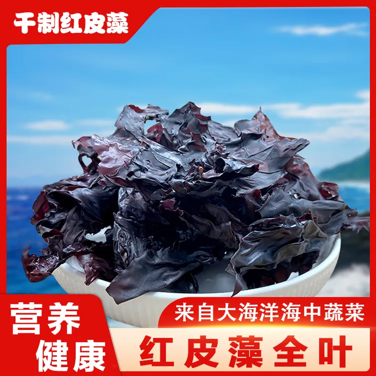 太平洋红皮藻大片掌状红皮藻纯野生干制海藻裙带类食品大片250克