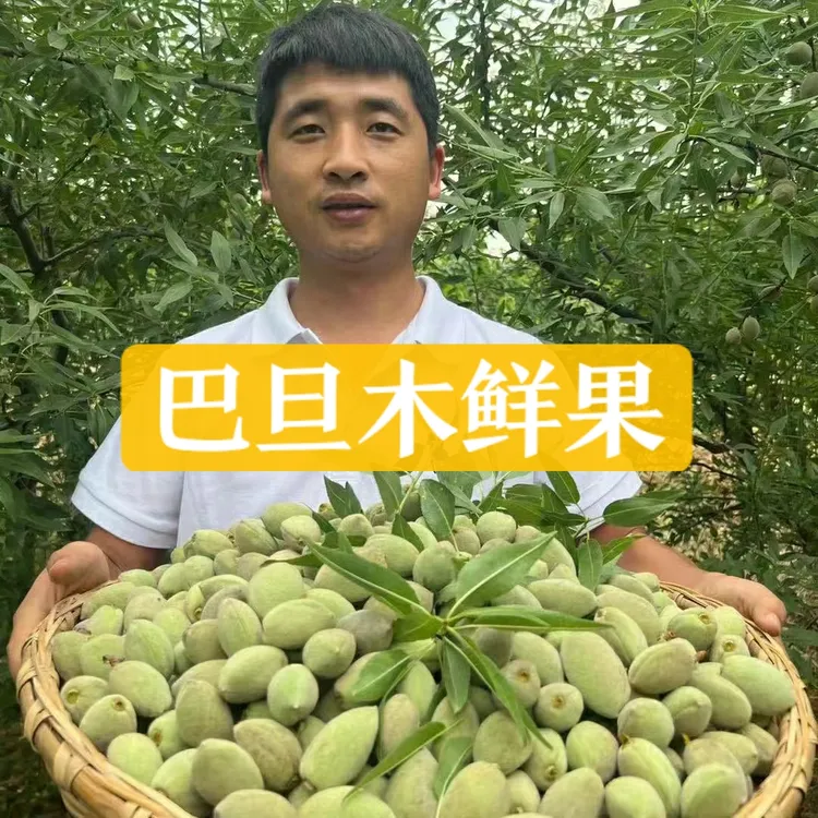 河南巴旦木鲜果青皮大杏仁脆香应季果仁饱满1斤3斤5斤食用农产品
